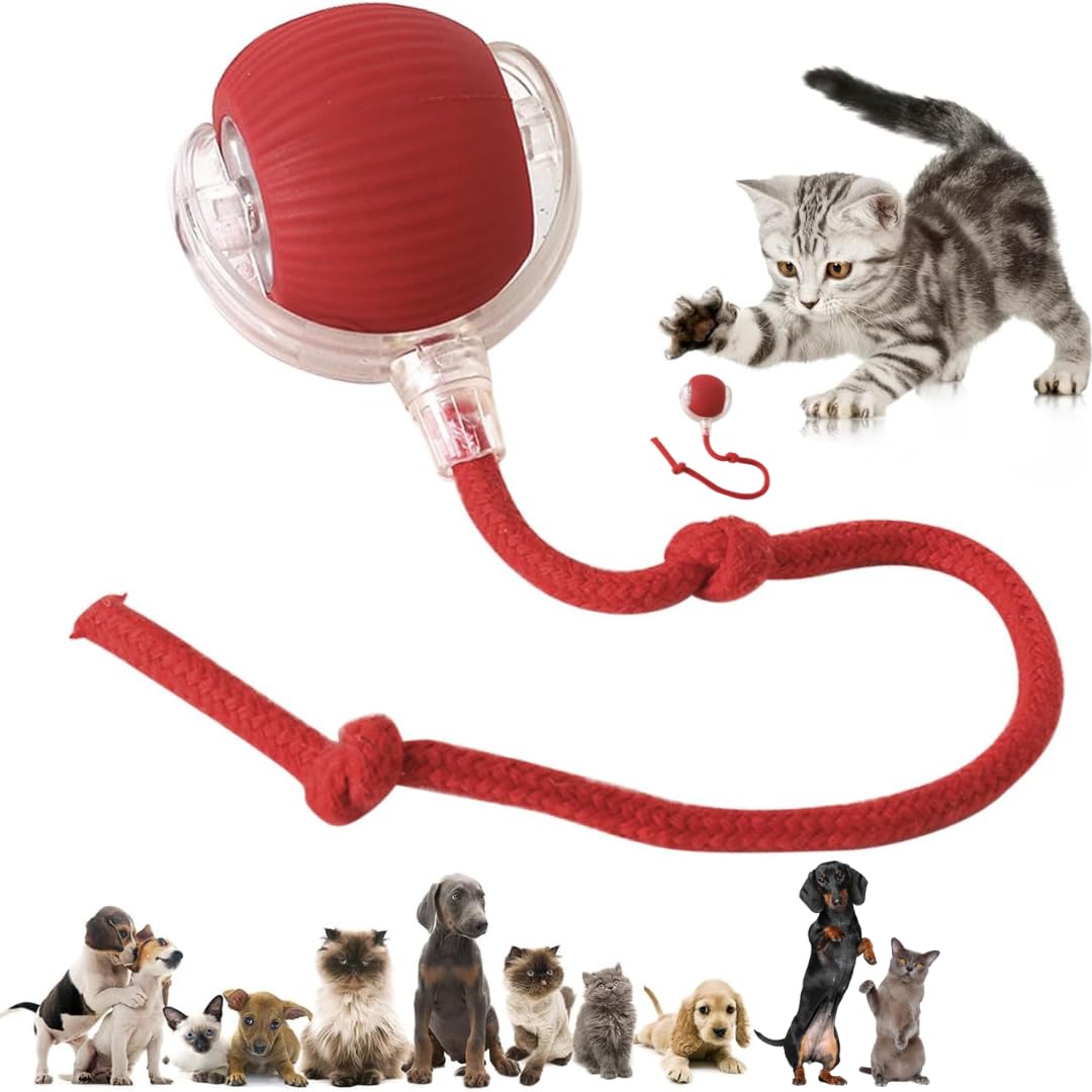 Furppies Electric Rolling Pet Toy | Rechargeable Chase Ball for Cats & Small Dogs
