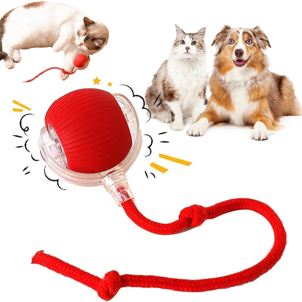 Interactive Cat Toy - USB Rechargeable for Kittens & Toys for Cats by Petstrack