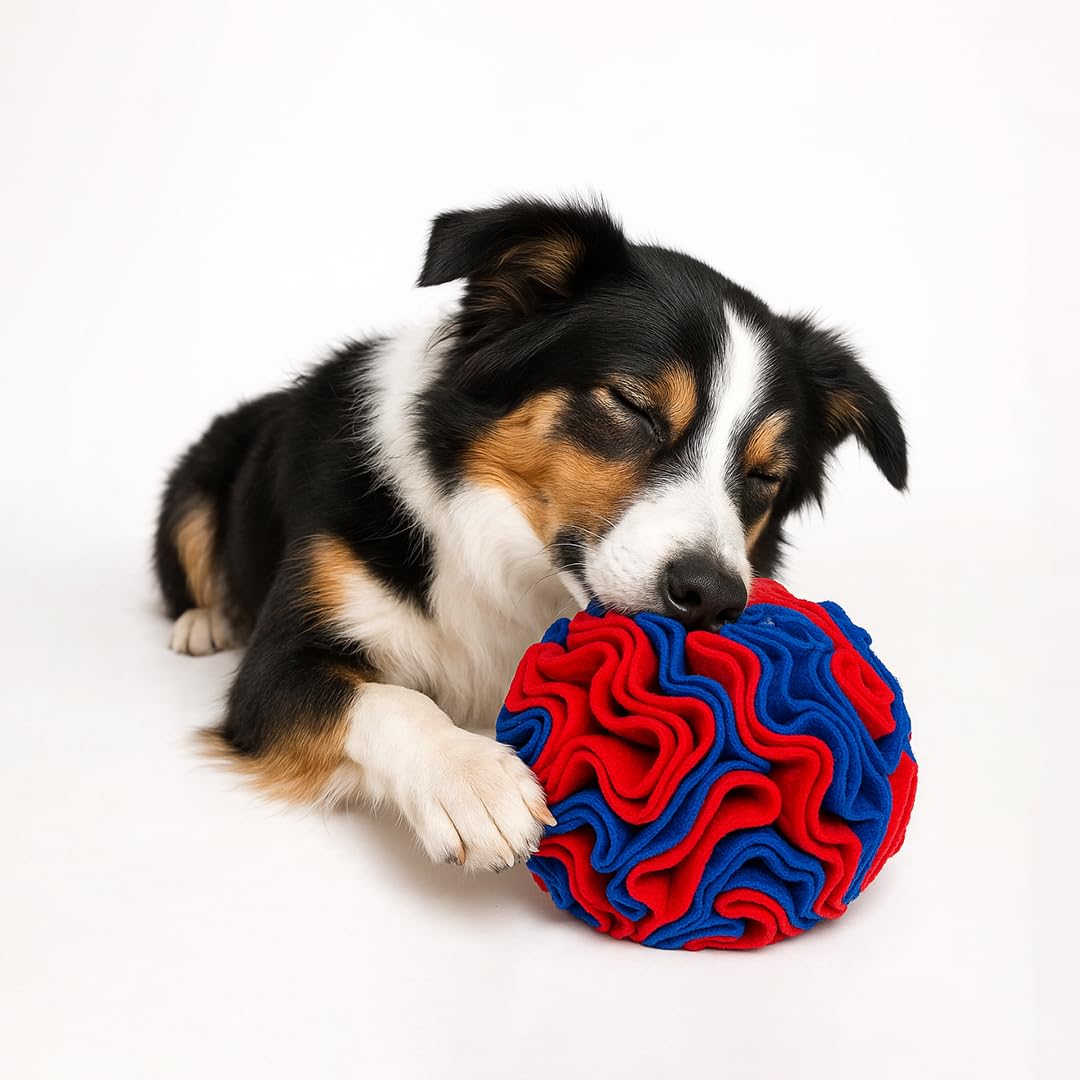 Dog Snuffle Ball Toy – Slow Feeder Ball for Dogs, Nosework Enrichment Toy for Mental Stimulation, Anxiety Relief & Training