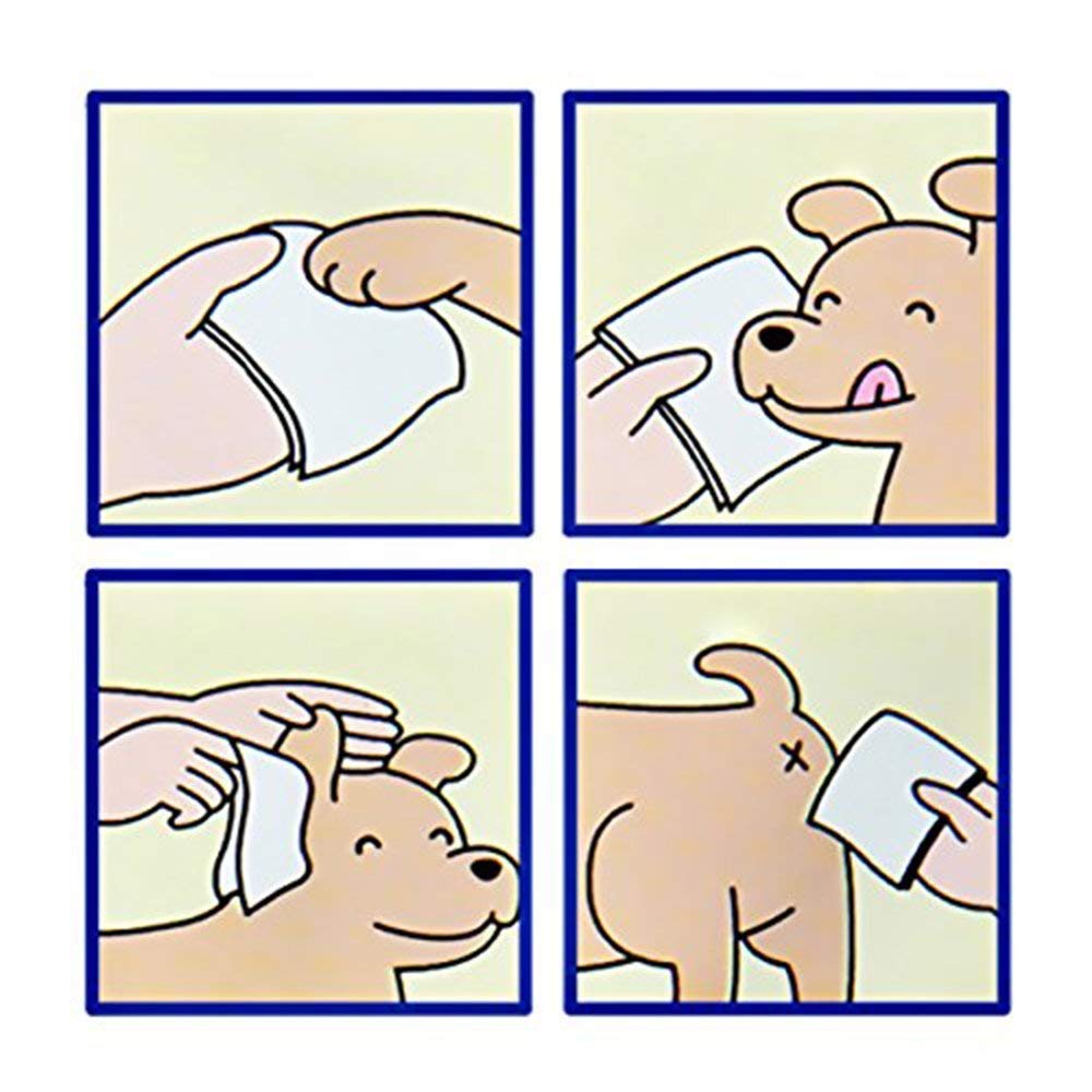 Smarty Pet Soft Pet Wet Wipes for Dogs, Puppies & Pets with Fresh - Apple Scent 6"x 8" (Pack of 1)