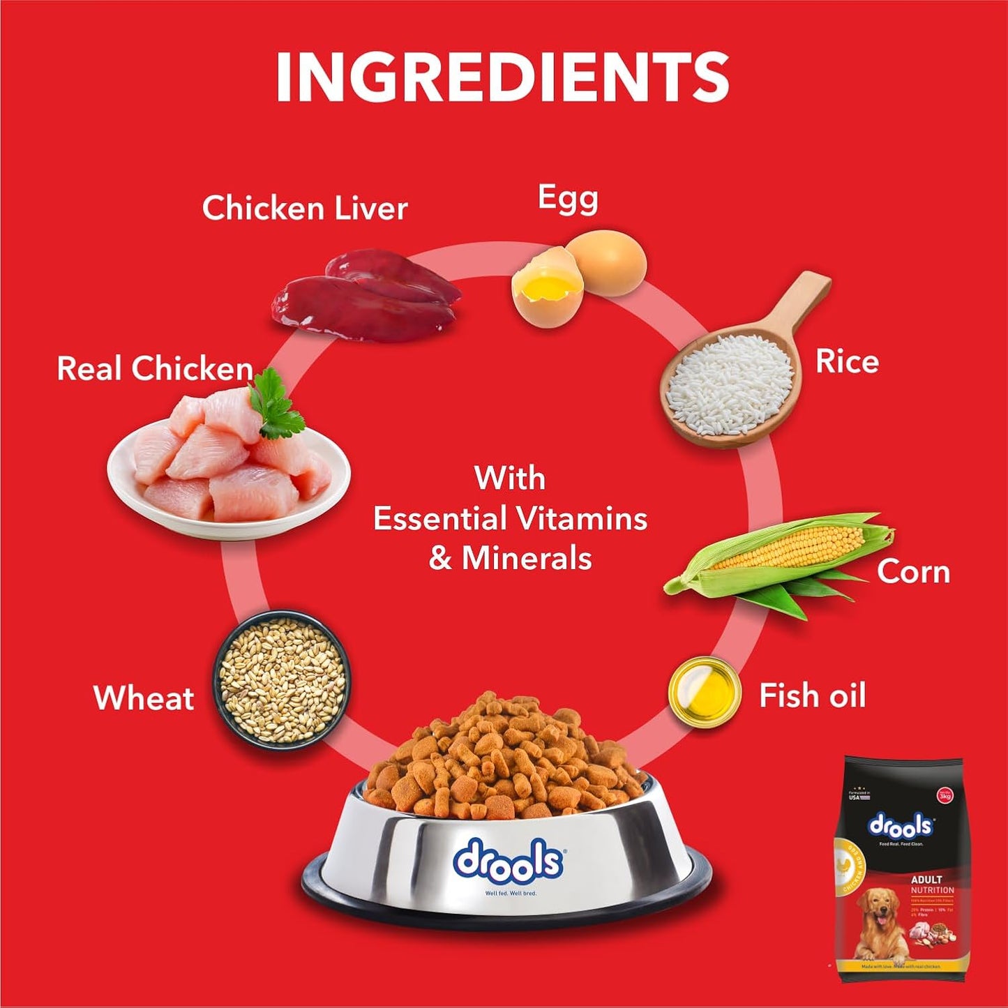 Drools Chicken and Egg Adult Dry Dog Food
