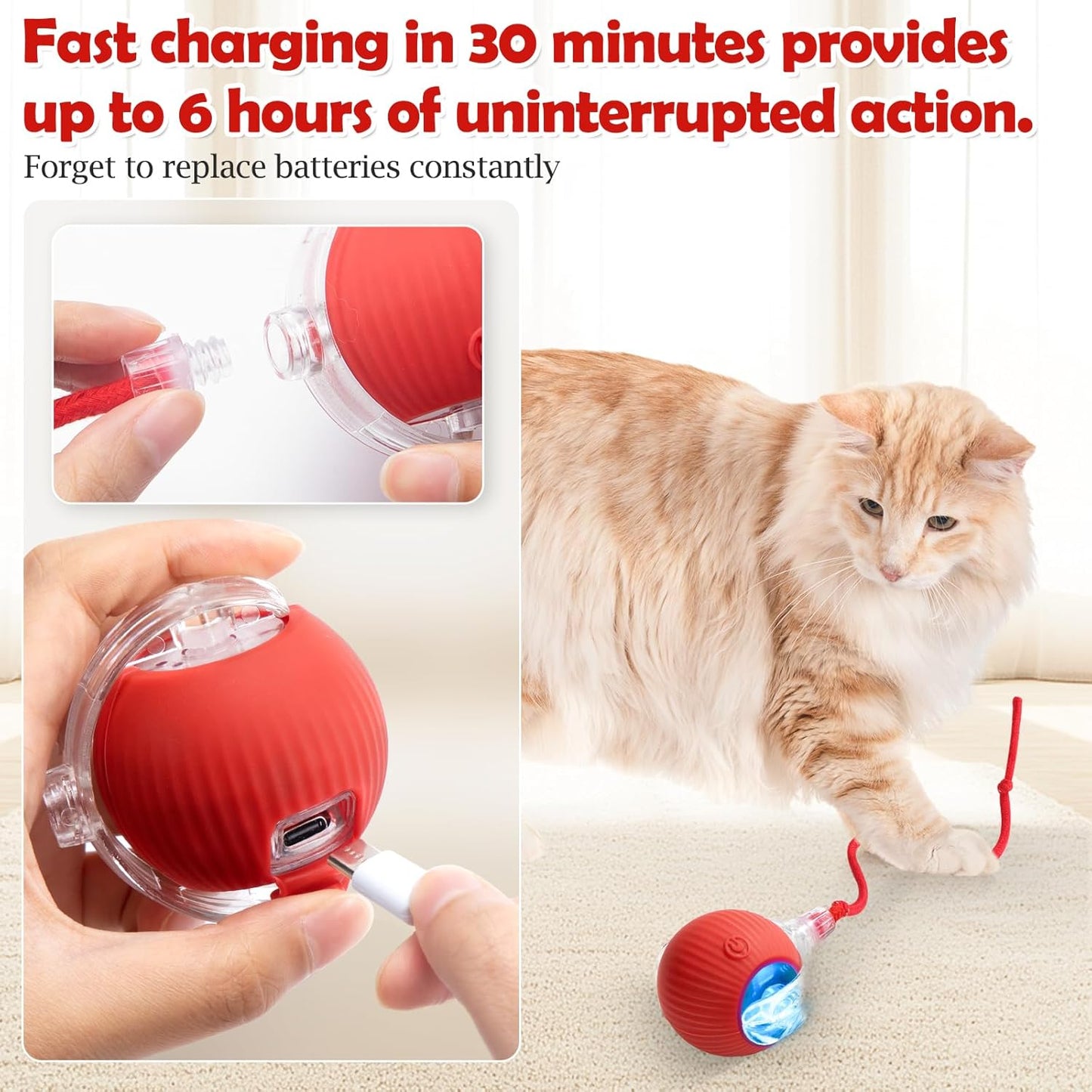 Furppies Electric Rolling Pet Toy | Rechargeable Chase Ball for Cats & Small Dogs