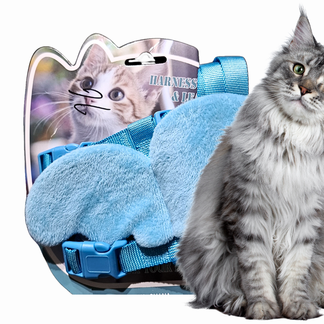 Cat harness and leash set 2 ( Colour may vary)