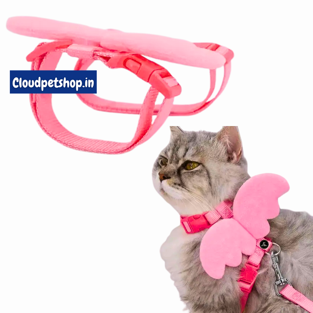 Cat harness and leash set 2 ( Colour may vary)