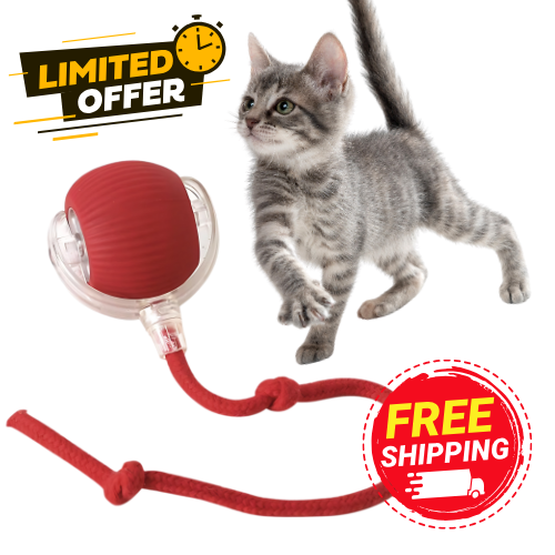 Furppies Electric Rolling Pet Toy | Rechargeable Chase Ball for Cats & Small Dogs