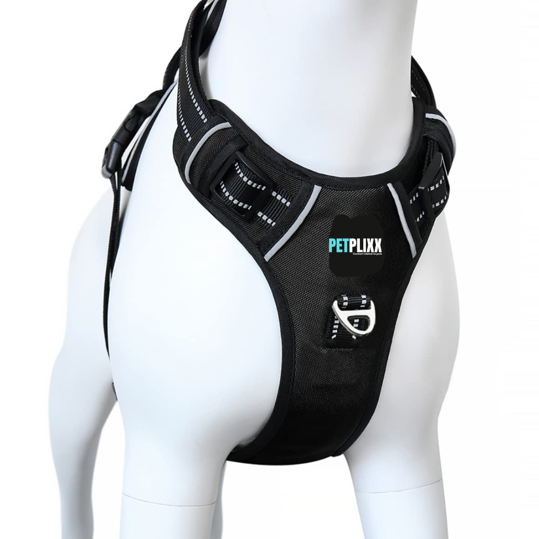 "Furppies Double Strap Dog Harness – Adjustable, No-Pull, Comfortable & Secure Harness for All Dog Breeds"