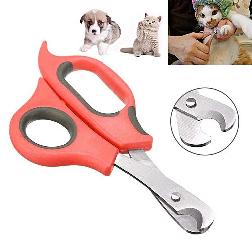 Petstrack nail scissor for cats