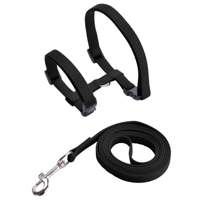 Basic Full Body Cat Harness with Leash Set for Walking | Escape Proof | Adjustable & Durable for Cats ( Colour May Vary )