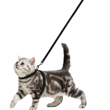 Basic Full Body Cat Harness with Leash Set for Walking | Escape Proof | Adjustable & Durable for Cats ( Colour May Vary )