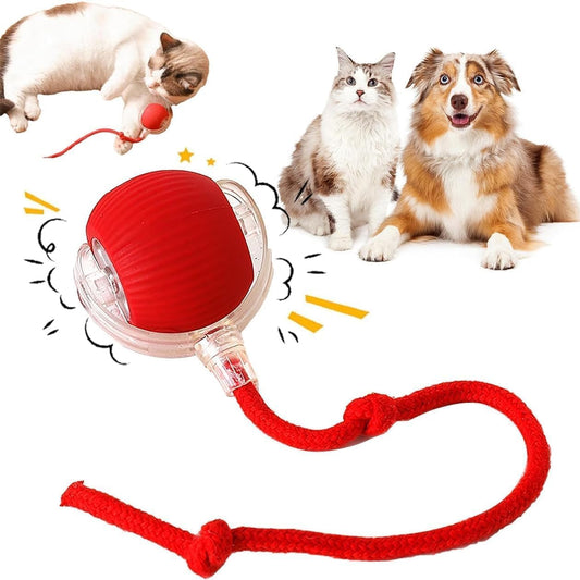 Interactive Cat Toy - USB Rechargeable for Kittens & Toys for Cats by Petstrack
