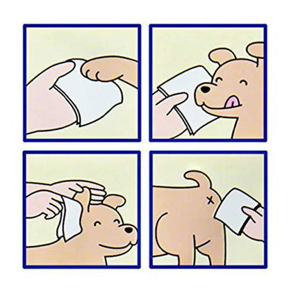 Smarty Pet Soft Pet Wet Wipes for Dogs, Puppies & Pets with Fresh - Apple Scent 6"x 8" (Pack of 1)