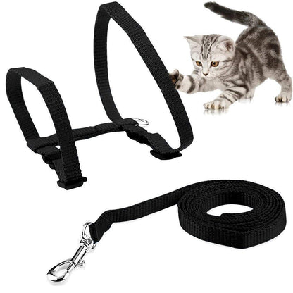 Basic Full Body Cat Harness with Leash Set for Walking | Escape Proof | Adjustable & Durable for Cats ( Colour May Vary )