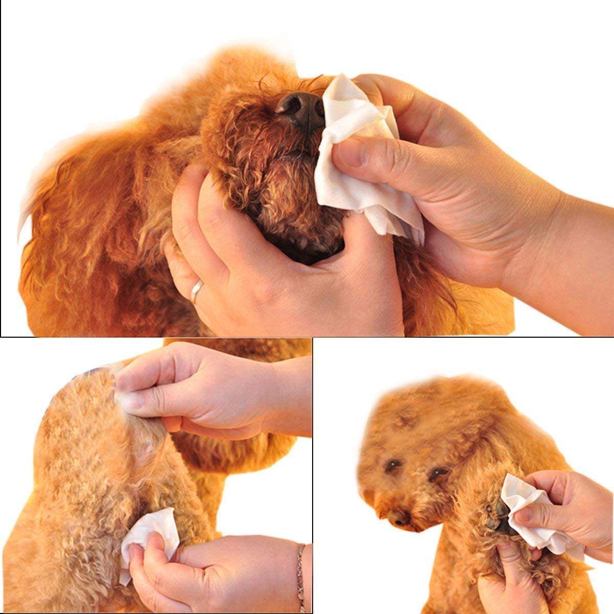Smarty Pet Soft Pet Wet Wipes for Dogs, Puppies & Pets with Fresh - Apple Scent 6"x 8" (Pack of 1)