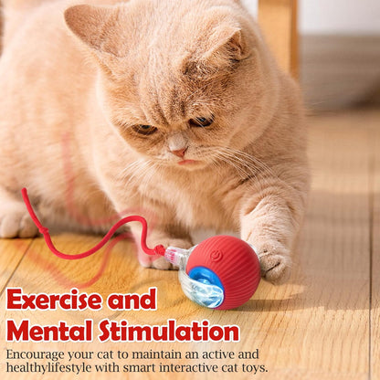 Furppies Electric Rolling Pet Toy | Rechargeable Chase Ball for Cats & Small Dogs