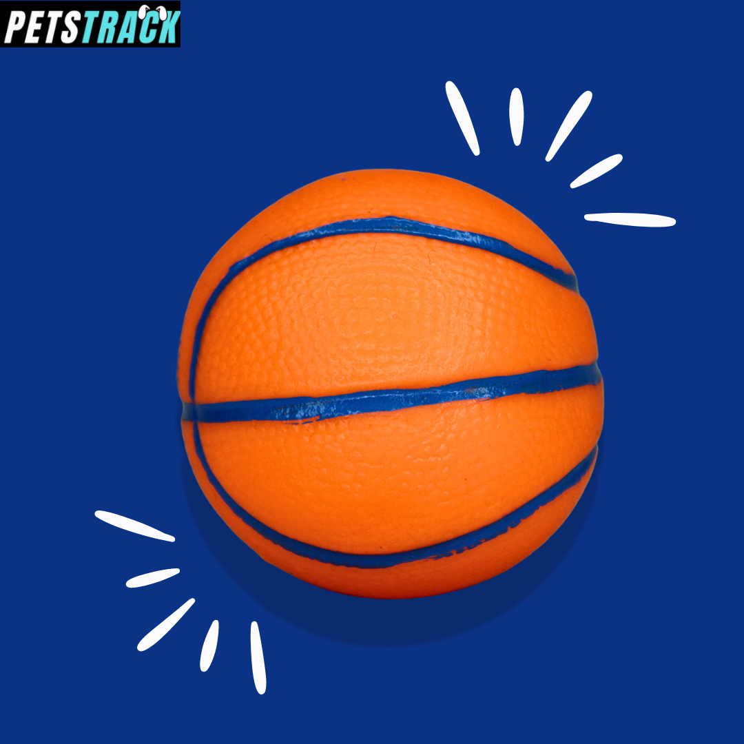 Squeaky Ball Toy For puppies