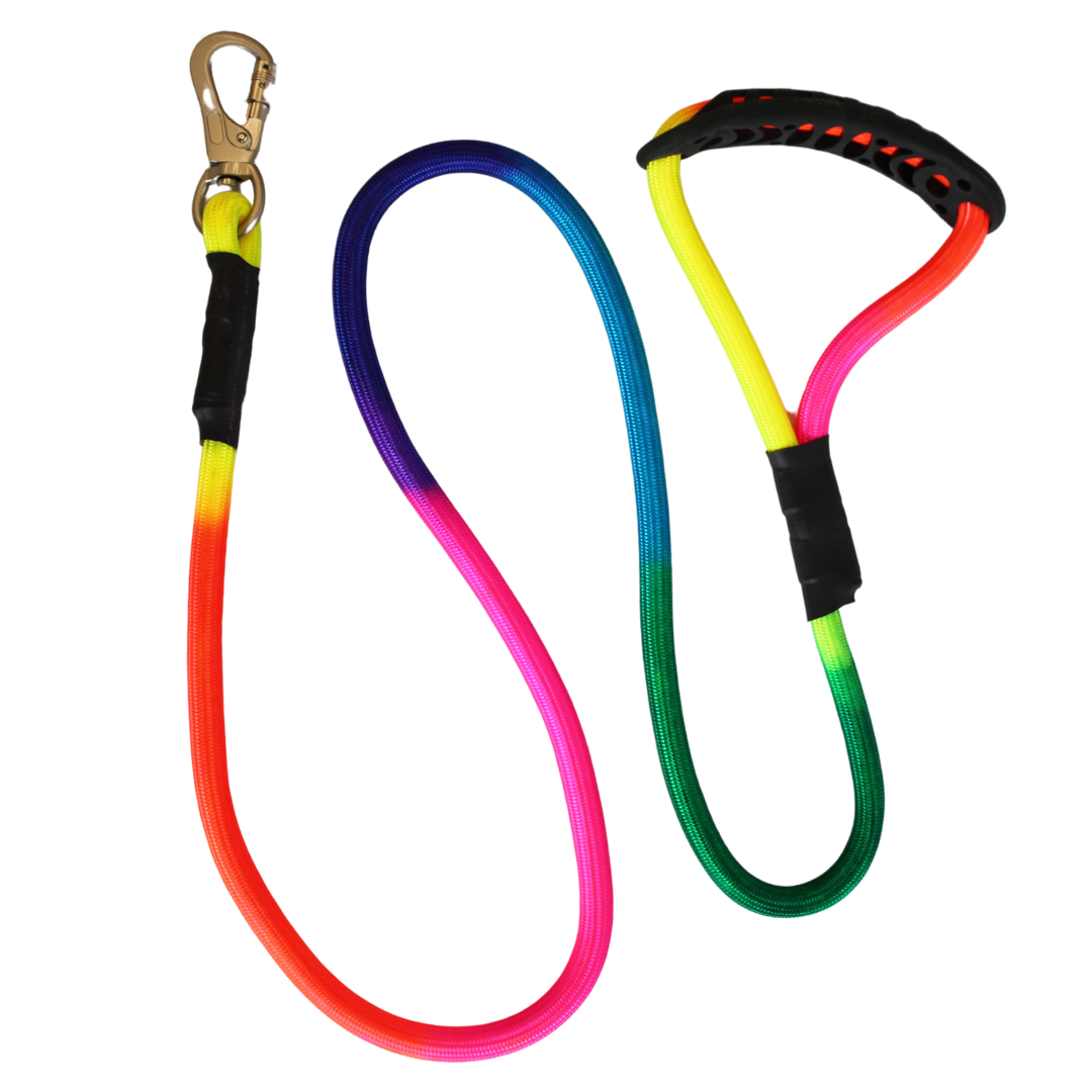 Importer multicolour rainbow walking rope for all breed sizes