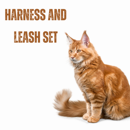 Cat harness and leash set 2 ( Colour may vary)